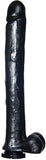 Exxxtreme Dong W-suction Black 16in - iVenuss